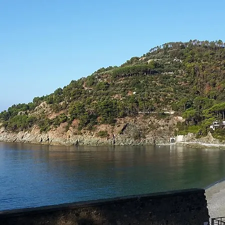 Sivori