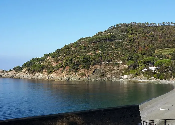 Sivori